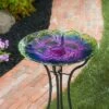 Hot Sale π Evergreen 18" Hand Painted and Embossed Pebble Glass Bird Bath, Conchita Succulent π 2 Hot Sale π Evergreen 18" Hand Painted and Embossed Pebble Glass Bird Bath, Conchita Succulent π -Garden Decor Shop unnamed file 1942