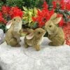Top 10 𧨠Design Toscano The Bunny Den, Garden Rabbit Statues, Set of 3 - Brown π 1 Top 10 𧨠Design Toscano The Bunny Den, Garden Rabbit Statues, Set of 3 - Brown π -Garden Decor Shop unnamed file 196