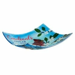 Best Pirce 💯 Evergreen 16.5" Hand Painted Embossed Square Glass Bird Bath, Cardinals Appear ✔️