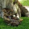 Coupon 🥰 Alpine Corporation Alpine 20" Cascading Stone River Fountain with LED Lights Cool White 🥰 -Garden Decor Shop unnamed file 2073
