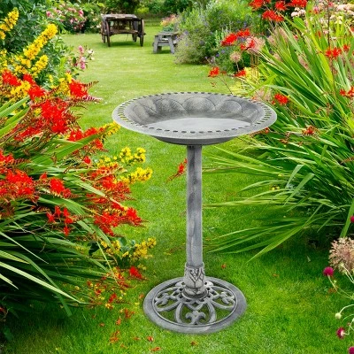 Promo π₯ Nature Spring 20" Antique-Style Outdoor Garden Birdbath With Pedestal - Gray π₯° 5 Promo π₯ Nature Spring 20" Antique-Style Outdoor Garden Birdbath With Pedestal - Gray π₯° - Image 3