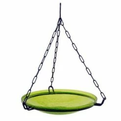 Best reviews of 🔥 17" Reflective Crackle Glass Hanging Birdbath Bowl - Achla Designs Fern Green ✨ -Garden Decor Shop unnamed file 2223