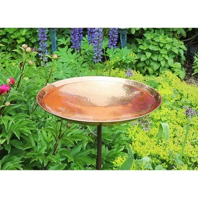 Hot Sale β¨ 4" Iron and Stainless Steel Birdbath Bowl with Stake Brown - ACHLA Designs π 3 Hot Sale β¨ 4" Iron and Stainless Steel Birdbath Bowl with Stake Brown - ACHLA Designs π