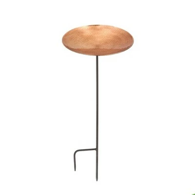 Hot Sale β¨ 4" Iron and Stainless Steel Birdbath Bowl with Stake Brown - ACHLA Designs π 4 Hot Sale β¨ 4" Iron and Stainless Steel Birdbath Bowl with Stake Brown - ACHLA Designs π - Image 2