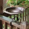 Buy β 8.5" Classic II Birdbath with Over Rail Bracket Antique Copper - Achla Designs 𧨠1 Buy β 8.5" Classic II Birdbath with Over Rail Bracket Antique Copper - Achla Designs 𧨠-Garden Decor Shop unnamed file 2275