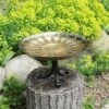 Brand new 🥰 9.2" Brass African Daisy Birdbath with Tripod Stand Antique and Patina Finish Brown - Achla Designs 🔔 -Garden Decor Shop unnamed file 2334