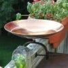 New π 8" Stainless Steel Birdbath Bowl with Over Rail Bracket Polished Copper Plated - ACHLA Designs π 2 New π 8" Stainless Steel Birdbath Bowl with Over Rail Bracket Polished Copper Plated - ACHLA Designs π -Garden Decor Shop unnamed file 2340