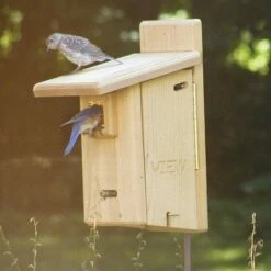 Top 10 π€© Birds Choice 13" Ultimate Bluebird House Brown β¨ 13 Top 10 π€© Birds Choice 13" Ultimate Bluebird House Brown β¨ -Garden Decor Shop unnamed file 2348