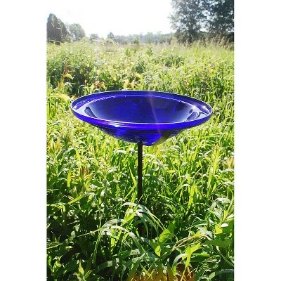 Best Pirce 🥰 3" Iron and Crackle Glass Birdbath Bowl with Stake - ACHLA Designs Cobalt Blue 🛒 4 Best Pirce 🥰 3" Iron and Crackle Glass Birdbath Bowl with Stake - ACHLA Designs Cobalt Blue 🛒 - Image 2