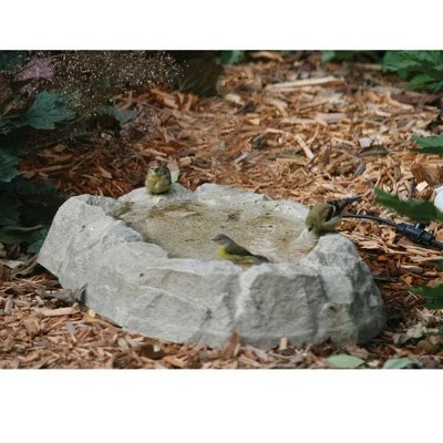 Cheap π Birds Choice 5" Rocky Mountain Ground Level Birdbath Brown π€© 4 Cheap π Birds Choice 5" Rocky Mountain Ground Level Birdbath Brown π€© - Image 2