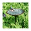 Buy ❤️ 11" Scallop Shell Birdbath and Feeder with Stake Antique Brass Plated - ACHLA Designs 🌟 -Garden Decor Shop unnamed file 2433