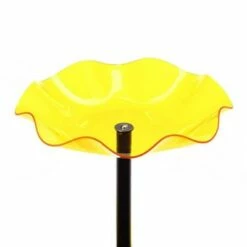 Promo 🤩 Birds Choice 5" Acrylic Birdbath Red 🎁 -Garden Decor Shop unnamed file 2496