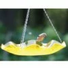 Hot Sale π― Birds Choice 5" Hanging Acrylic Birdbath Yellow π 1 Hot Sale π― Birds Choice 5" Hanging Acrylic Birdbath Yellow π -Garden Decor Shop unnamed file 2501