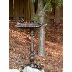 Top 10 ✔️ Zingz & Thingz Zingz & Thingz 23.75" Forest Frolic Cast Iron Birdbath Dark Brown 😀 -Garden Decor Shop unnamed file 2543