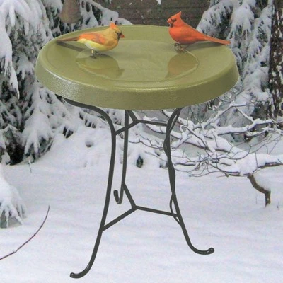 Coupon π€© Birds Choice 9" Pedestal Heated Birdbath Green π 5 Coupon π€© Birds Choice 9" Pedestal Heated Birdbath Green π - Image 3