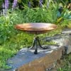 New 👍 8.5" Stainless Steel Birdbath Bowl with Tripod Stand Polished Copper Plated - ACHLA Designs 😉 -Garden Decor Shop unnamed file 2565