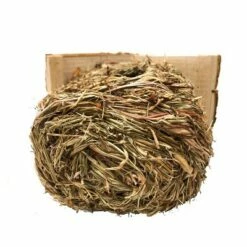 Top 10 ✨ Backyard Expressions 2pc Wood Birdhouse Set Naturals ✔️ 14 Top 10 ✨ Backyard Expressions 2pc Wood Birdhouse Set Naturals ✔️ -Garden Decor Shop unnamed file 2702