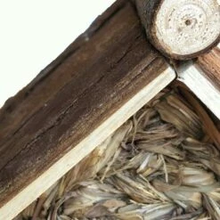 Top 10 ✨ Backyard Expressions 2pc Wood Birdhouse Set Naturals ✔️ 17 Top 10 ✨ Backyard Expressions 2pc Wood Birdhouse Set Naturals ✔️ -Garden Decor Shop unnamed file 2705