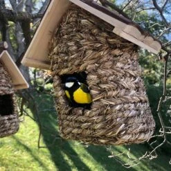 Top 10 ✨ Backyard Expressions 2pc Wood Birdhouse Set Naturals ✔️ 19 Top 10 ✨ Backyard Expressions 2pc Wood Birdhouse Set Naturals ✔️ -Garden Decor Shop unnamed file 2707