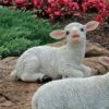 Buy 🥰 Design Toscano Yorkshire Lamb Garden Statue ❤️ -Garden Decor Shop unnamed file 273
