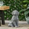 Best Pirce π Bluffton Outdoor π Dog Garden Statue - Stone Gray - Christopher Knight Home β¨ 1 Best Pirce π Bluffton Outdoor π Dog Garden Statue - Stone Gray - Christopher Knight Home β¨ -Garden Decor Shop unnamed file 278