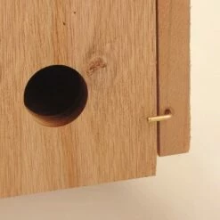 Top 10 π₯ Woodlink Kiln-Dried Cedar Wood Birdhouse Winter Roosting and Shelter Box with Included Screws, Brown π₯° 8 Top 10 π₯ Woodlink Kiln-Dried Cedar Wood Birdhouse Winter Roosting and Shelter Box with Included Screws, Brown π₯° -Garden Decor Shop unnamed file 2805