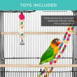 Best reviews of β€οΈ Best Choice Products 36in Indoor/Outdoor Iron Bird Cage for Parrot, Lovebird w/ Removable Tray, 4 Feeders, 2 Toys π― 11 Best reviews of β€οΈ Best Choice Products 36in Indoor/Outdoor Iron Bird Cage for Parrot, Lovebird w/ Removable Tray, 4 Feeders, 2 Toys π― -Garden Decor Shop unnamed file 3038