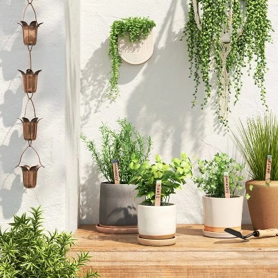 Best deal π― Smith & Hawken 4pk Stoneware Herb Marker - Smith & Hawken™ β 2 Best deal π― Smith & Hawken 4pk Stoneware Herb Marker - Smith & Hawken™ β