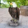 Best Pirce π 24.3" Resin Large Bald Eagle Statue Brown/White - Exhart 𧨠2 Best Pirce π 24.3" Resin Large Bald Eagle Statue Brown/White - Exhart 𧨠-Garden Decor Shop unnamed file 3190