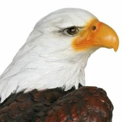 Best Pirce 🛒 24.3" Resin Large Bald Eagle Statue Brown/White - Exhart 🧨 -Garden Decor Shop unnamed file 3193