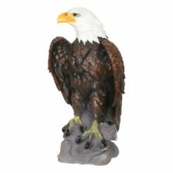 Best Pirce 🛒 24.3" Resin Large Bald Eagle Statue Brown/White - Exhart 🧨 -Garden Decor Shop unnamed file 3195