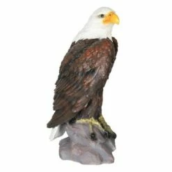 Best Pirce 🛒 24.3" Resin Large Bald Eagle Statue Brown/White - Exhart 🧨 -Garden Decor Shop unnamed file 3197