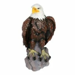 Best Pirce 🛒 24.3" Resin Large Bald Eagle Statue Brown/White - Exhart 🧨 -Garden Decor Shop unnamed file 3199