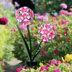 Promo 🧨 29.13" Metal Double Hydrangea Solar Stake Pink - Exhart 😀 -Garden Decor Shop unnamed file 3341