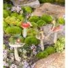 Budget 😉 Evergreen Fairy On Mushrooms Garden Stakes 💯 -Garden Decor Shop unnamed file 3389