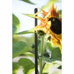 New 𧨠Tall Titan Garden Stakes 6β, Set of 6 - Black - Gardener's Supply Company π€©