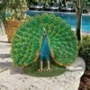 Buy ✔️ Design Toscano Peacock Plumage Garden Statue - Multicolored 😍 -Garden Decor Shop unnamed file 387