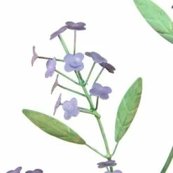 Best deal 🎉 Evergreen Artisan Florals Metal Garden Stake, Set of 2- 9x31x1, 9x27x2.5 in 😀 -Garden Decor Shop unnamed file 4442