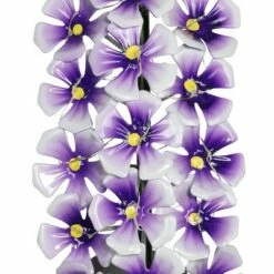 Coupon β¨ 28" Solar Resin/Metal Hanging Flower Garden Stake Purple - Exhart π 12 Coupon β¨ 28" Solar Resin/Metal Hanging Flower Garden Stake Purple - Exhart π -Garden Decor Shop unnamed file 4468