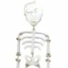 Best deal 👍 Direct International Home & Garden 23.5" Hanging Skeleton 💀 Halloween Bones Direct Designs International - Decorative Garden Stakes 🧨