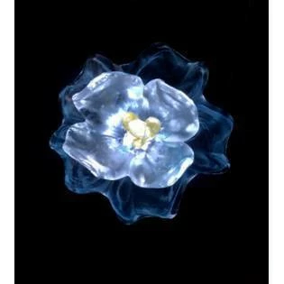 Best Sale π Glass Solar Flower Stake - Ultimate Innovations Pink π― 3 Best Sale π Glass Solar Flower Stake - Ultimate Innovations Pink π―