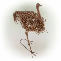 Outlet π 39" x 24" Outdoor Metal Standing Ostrich Statue Brown - Alpine Corporation π 10 Outlet π 39" x 24" Outdoor Metal Standing Ostrich Statue Brown - Alpine Corporation π -Garden Decor Shop unnamed file 606