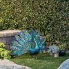 Best Sale π 22" Metal Feather Spread Peacock Outdoor Decor Statue - Alpine Corporation π― 1 Best Sale π 22" Metal Feather Spread Peacock Outdoor Decor Statue - Alpine Corporation π― -Garden Decor Shop unnamed file 629