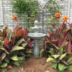 Brand new ⭐ Sunnydaze Decor Sunnydaze Outdoor 2-Tier Solar Powered Polyresin Arcade Water Fountain with Battery Backup and LED Light - 45" - Earth Finish 👏 -Garden Decor Shop unnamed file 6745