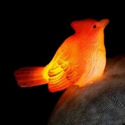 Best reviews of 🔔 10" Solar Welcome Frog With Birds Resin Statue Gray - Exhart ✨ -Garden Decor Shop unnamed file 687