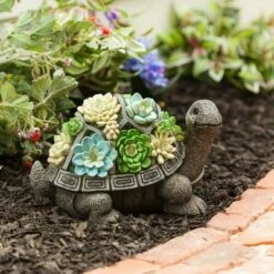 Buy 💯 Evergreen Flag Beautiful Solar Resin Succulent Turtle - 12 x 7 x 7 Inches Homegoods and Decorations for Every Space 😀