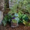 Coupon 😉 Alpine Corporation Alpine 15" Magnesium Oxide Frog Pushing Wagon Statue Planter 🎉 -Garden Decor Shop unnamed file 740