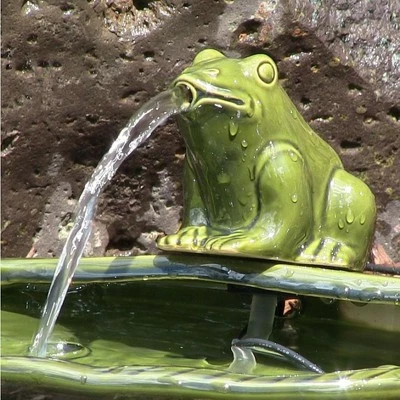 Best deal β Sunnydaze Decor Sunnydaze Outdoor Solar Powered Ceramic Spitting Frog Water Fountain with Submersible Pump - 7" - Green π 5 Best deal β Sunnydaze Decor Sunnydaze Outdoor Solar Powered Ceramic Spitting Frog Water Fountain with Submersible Pump - 7" - Green π - Image 3