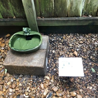 Best deal β Sunnydaze Decor Sunnydaze Outdoor Solar Powered Ceramic Spitting Frog Water Fountain with Submersible Pump - 7" - Green π 6 Best deal β Sunnydaze Decor Sunnydaze Outdoor Solar Powered Ceramic Spitting Frog Water Fountain with Submersible Pump - 7" - Green π - Image 4