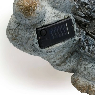 Best Sale ๐ Alpine Corporation 7" Polystone Turtle Solar Statue Gray ๐ฏ 7 Best Sale ๐ Alpine Corporation 7" Polystone Turtle Solar Statue Gray ๐ฏ - Image 5
